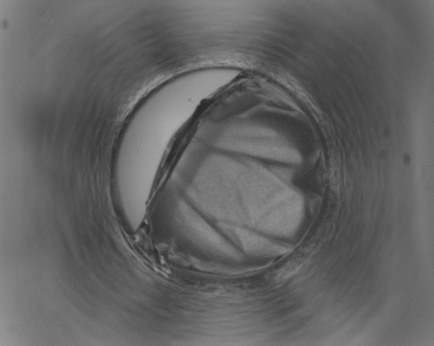 X0000067510434200604281612