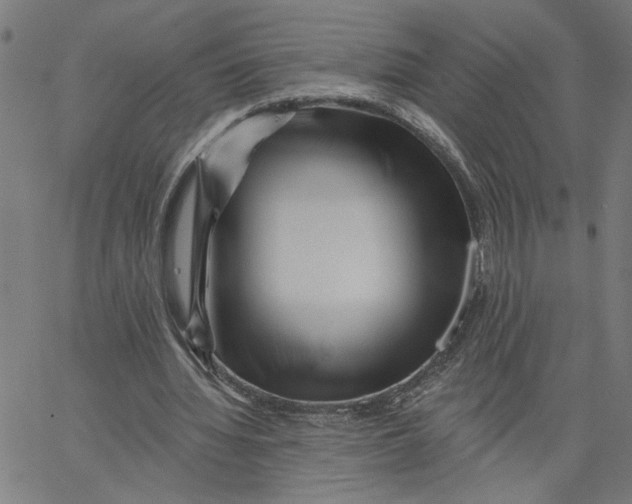 X0000067510436200604281612