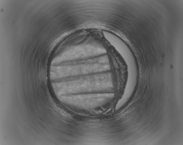 X0000067510438200604281612