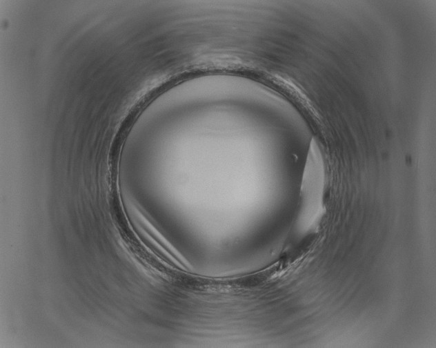 X0000067510439200604281612