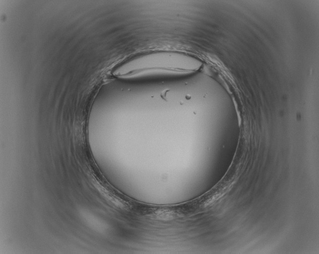 X0000067510441200604281612