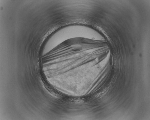 X0000067510443200604281612