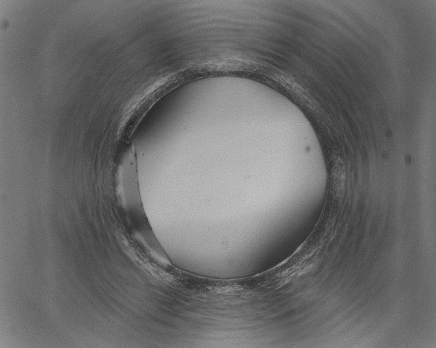 X0000067510446200604281612