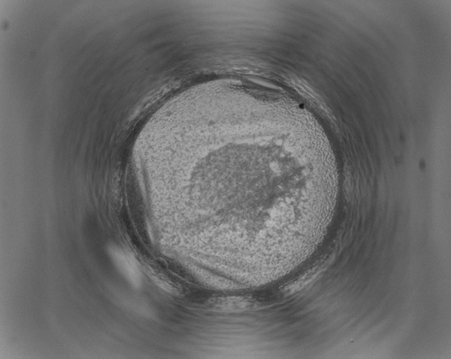 X0000067510449200604281612