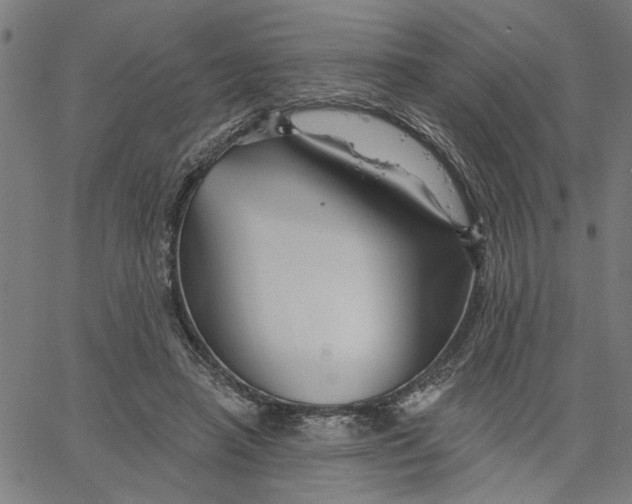 X0000067510450200604281612