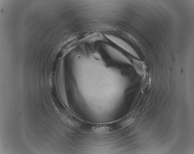 X0000067510452200604281612