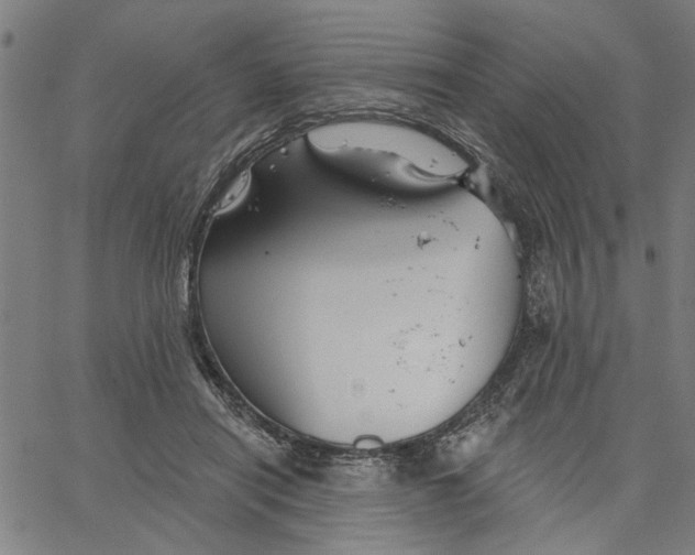 X0000067510454200604281612