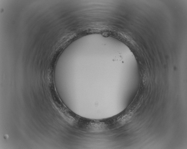 X0000067510455200604281613