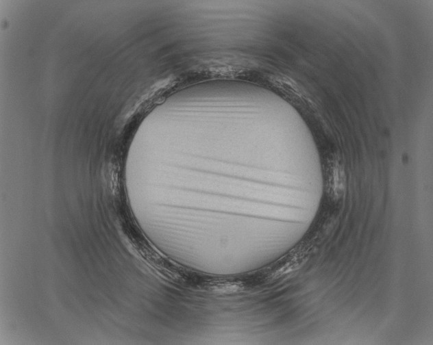 X0000067510456200604281613