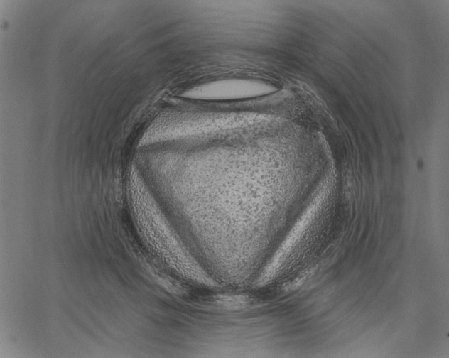 X0000067510457200604281613