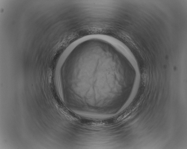 X0000067510458200604281613