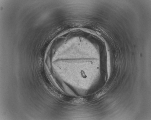 X0000067510459200604281613