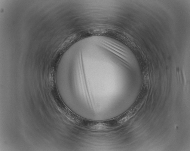 X0000067510460200604281613