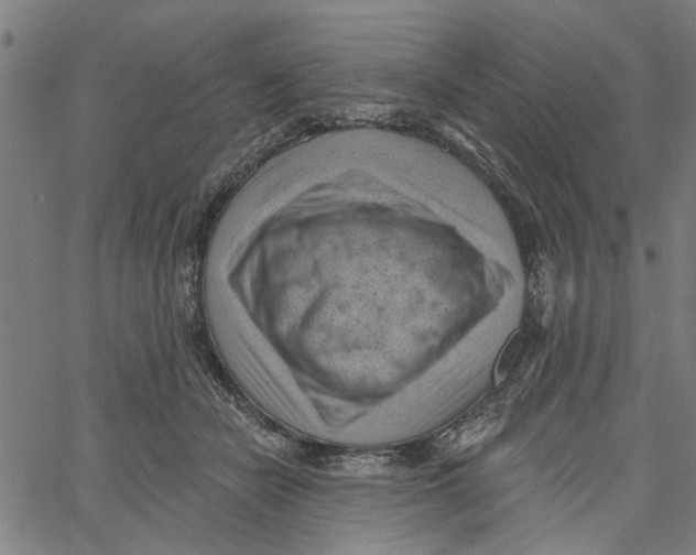 X0000067510462200604281613