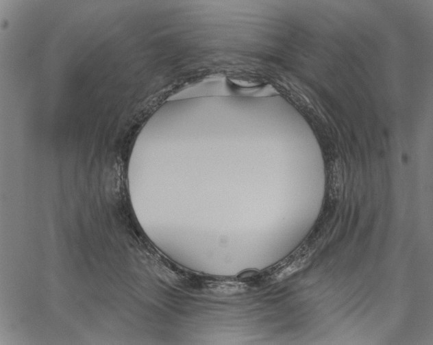 X0000067510463200604281613