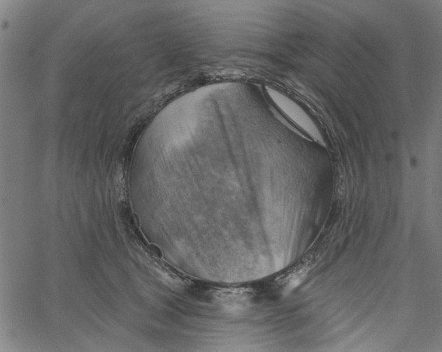 X0000067510465200604281613