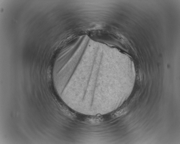 X0000067510466200604281613