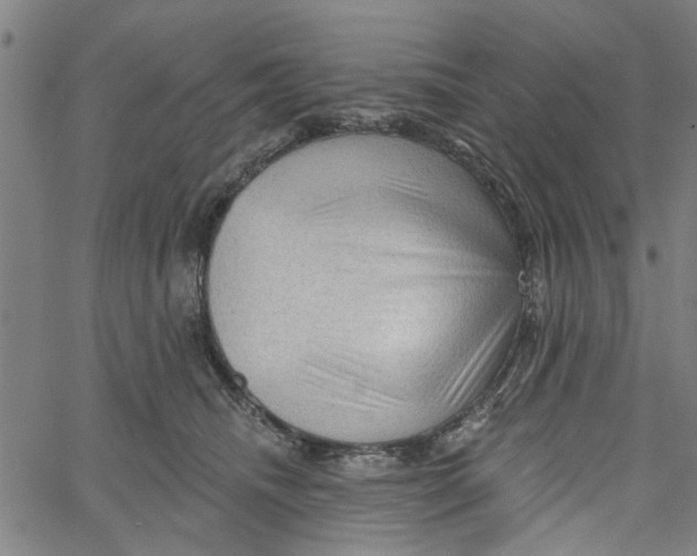 X0000067510468200604281613