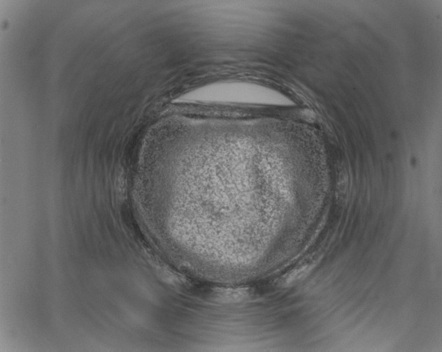 X0000067510469200604281613