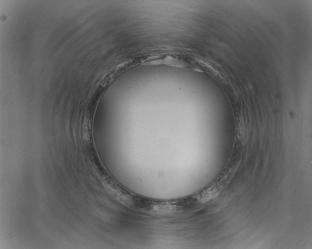 X0000067510470200604281613