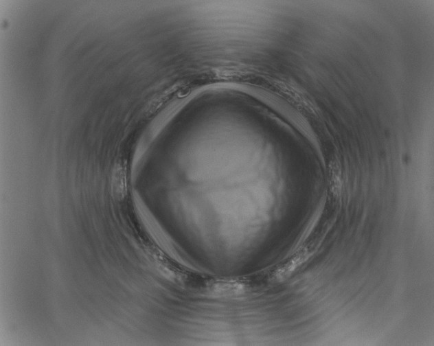 X0000067510471200604281613