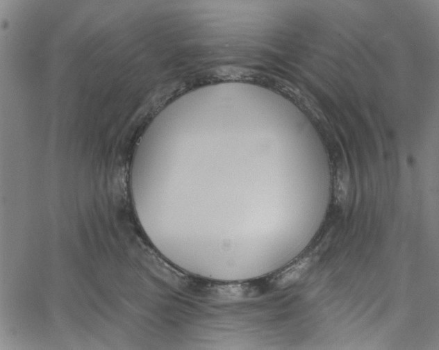 X0000067510473200604281613