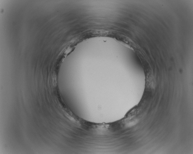 X0000067510474200604281613