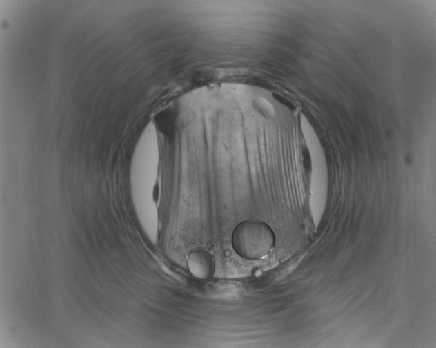 X0000067510475200604281613