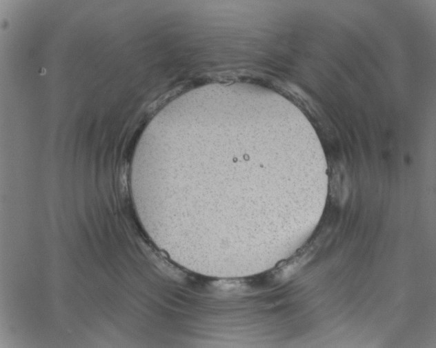 X0000067510477200604281613