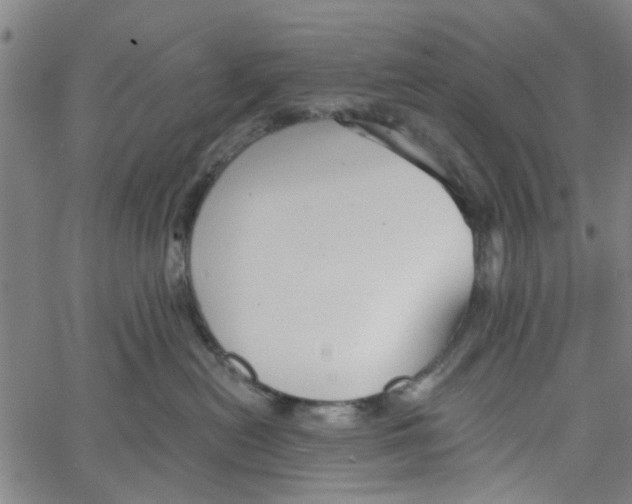 X0000067510478200604281613