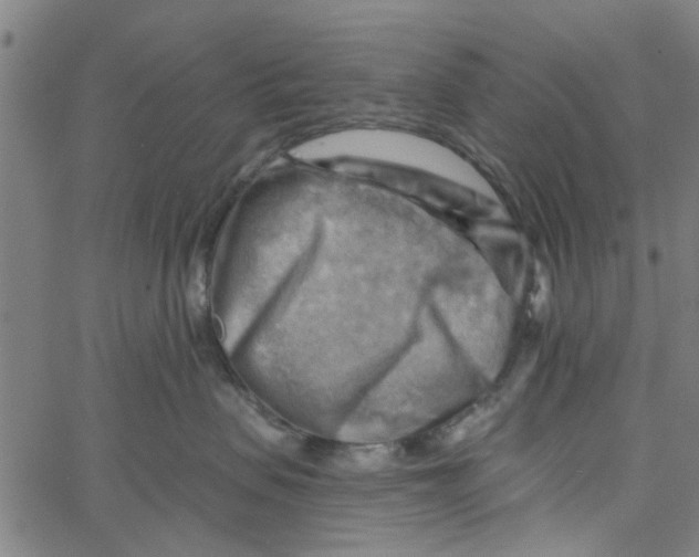 X0000067510479200604281613