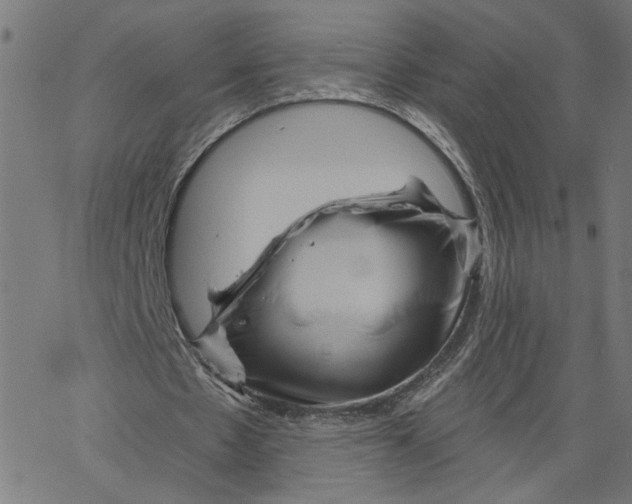 X0000067510481200604281612