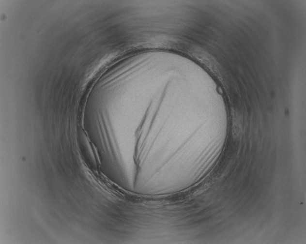 X0000067510482200604281612