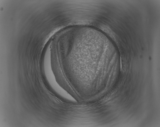 X0000067510483200604281612