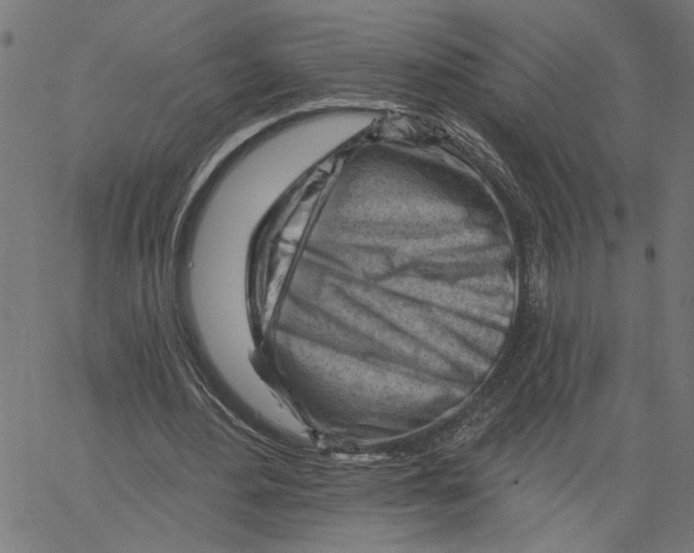 X0000067510484200604281612