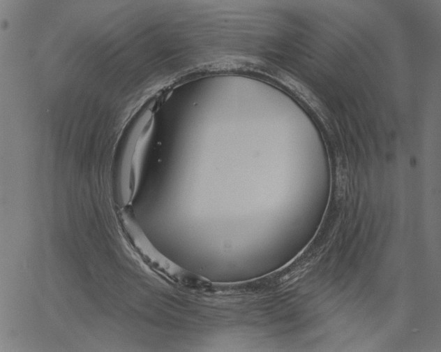 X0000067510485200604281612