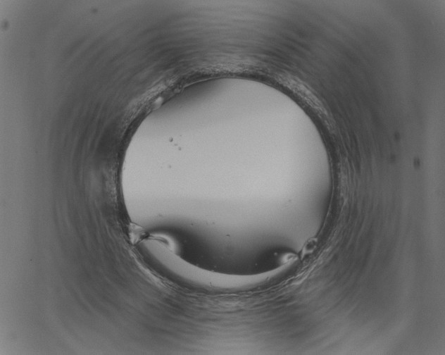 X0000067510489200604281612