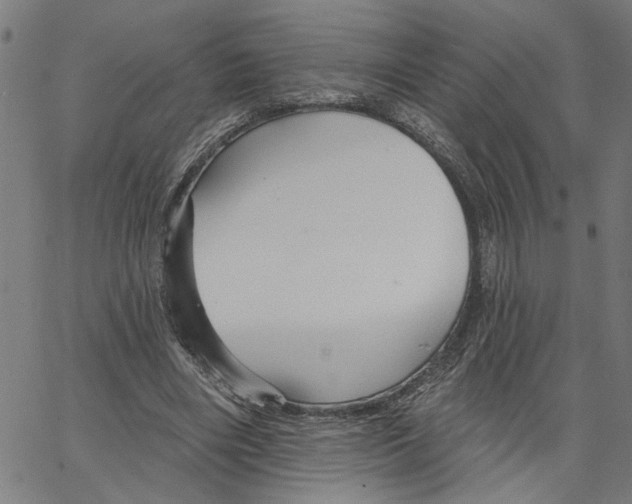 X0000067510490200604281612