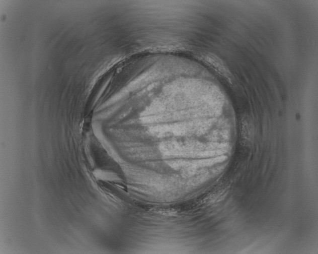 X0000067510491200604281612