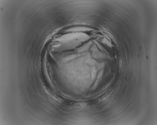 X0000067510492200604281612