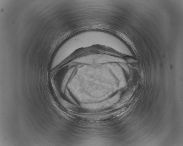 X0000067510493200604281612