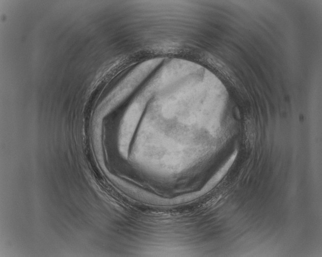 X0000067510494200604281612