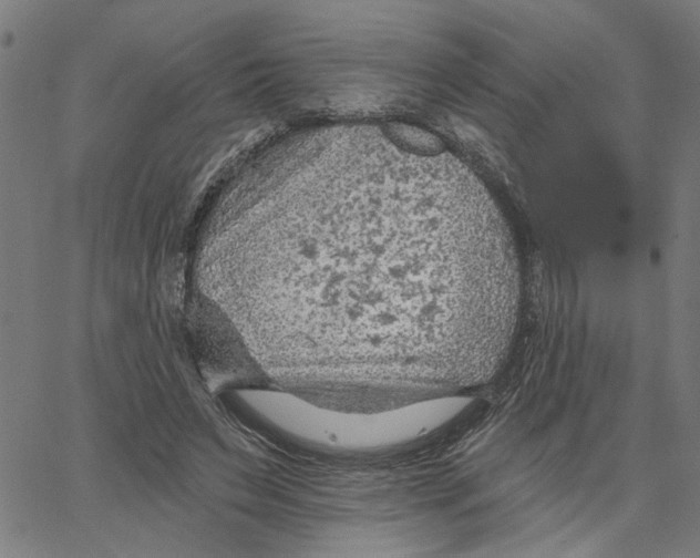 X0000067510495200604281612