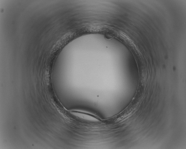 X0000067510497200604281612