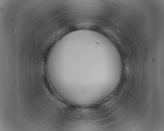 X0000067510498200604281612