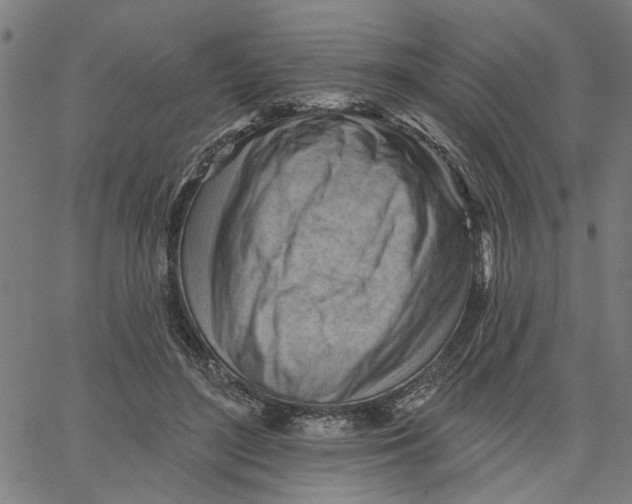 X0000067510500200604281612