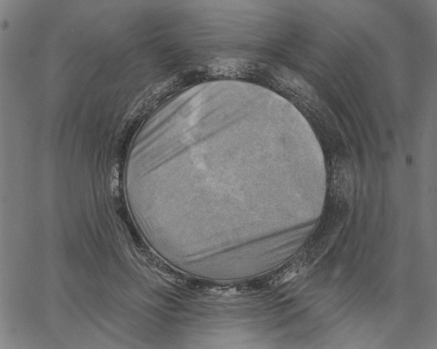 X0000067510502200604281612