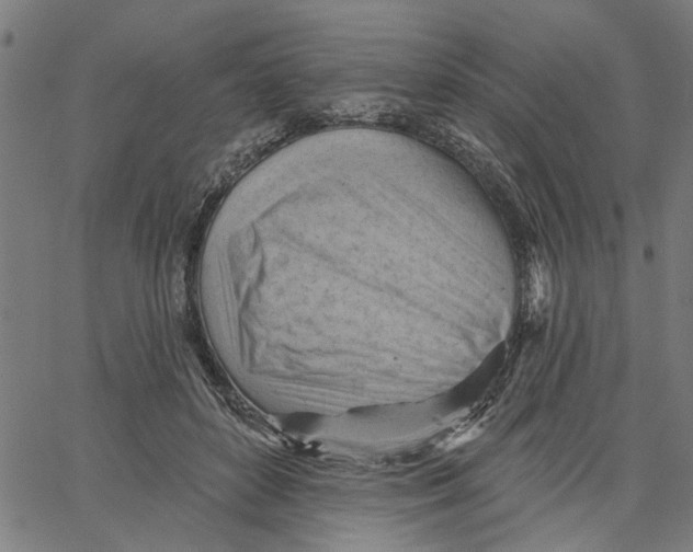 X0000067510504200604281612