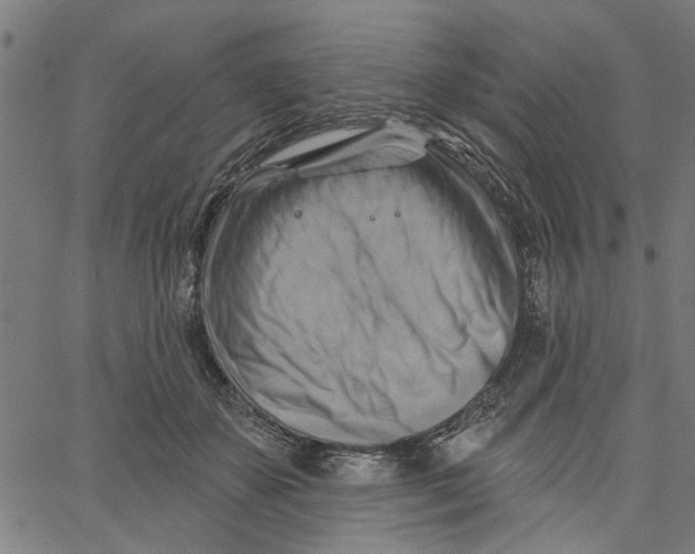 X0000067510507200604281612