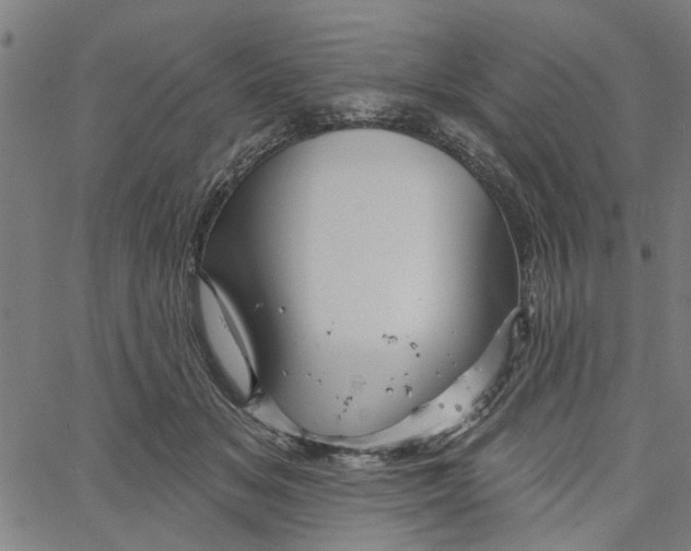 X0000067510509200604281612